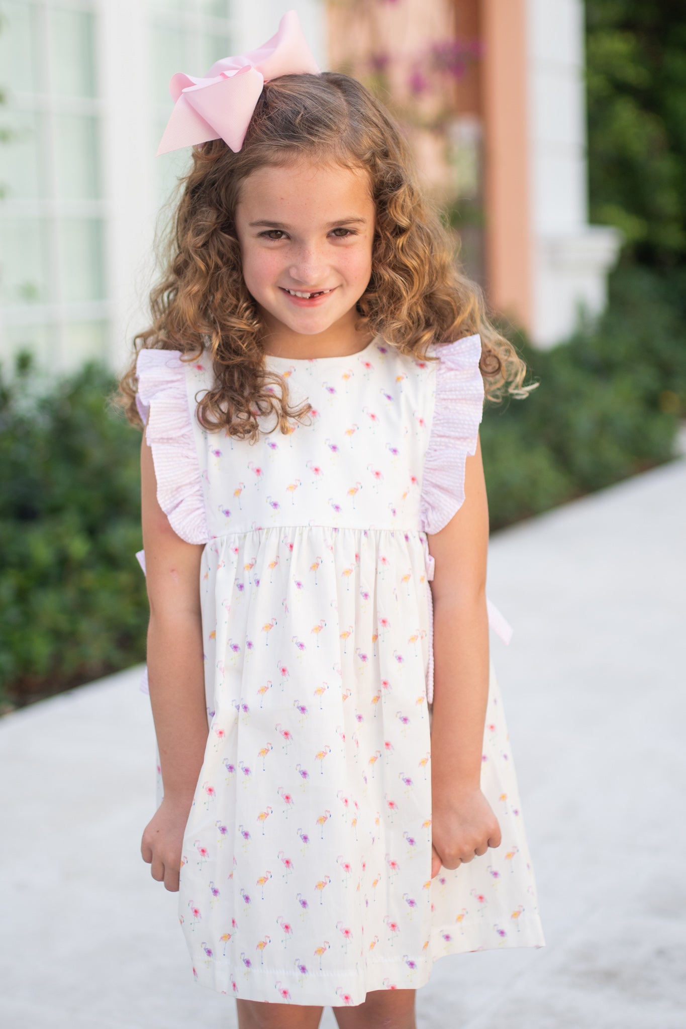 Abigail Dress, Flamingos