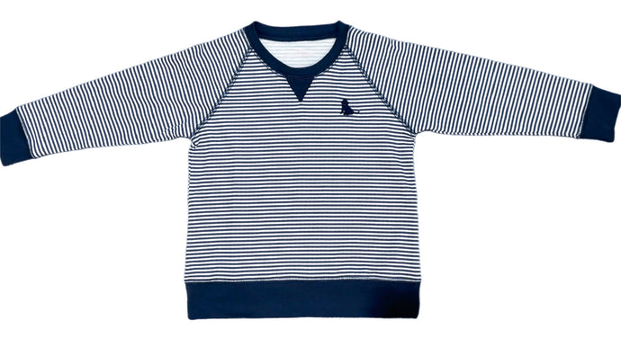 Boys Basics Sam Sweatshirt, Navy Stripe
