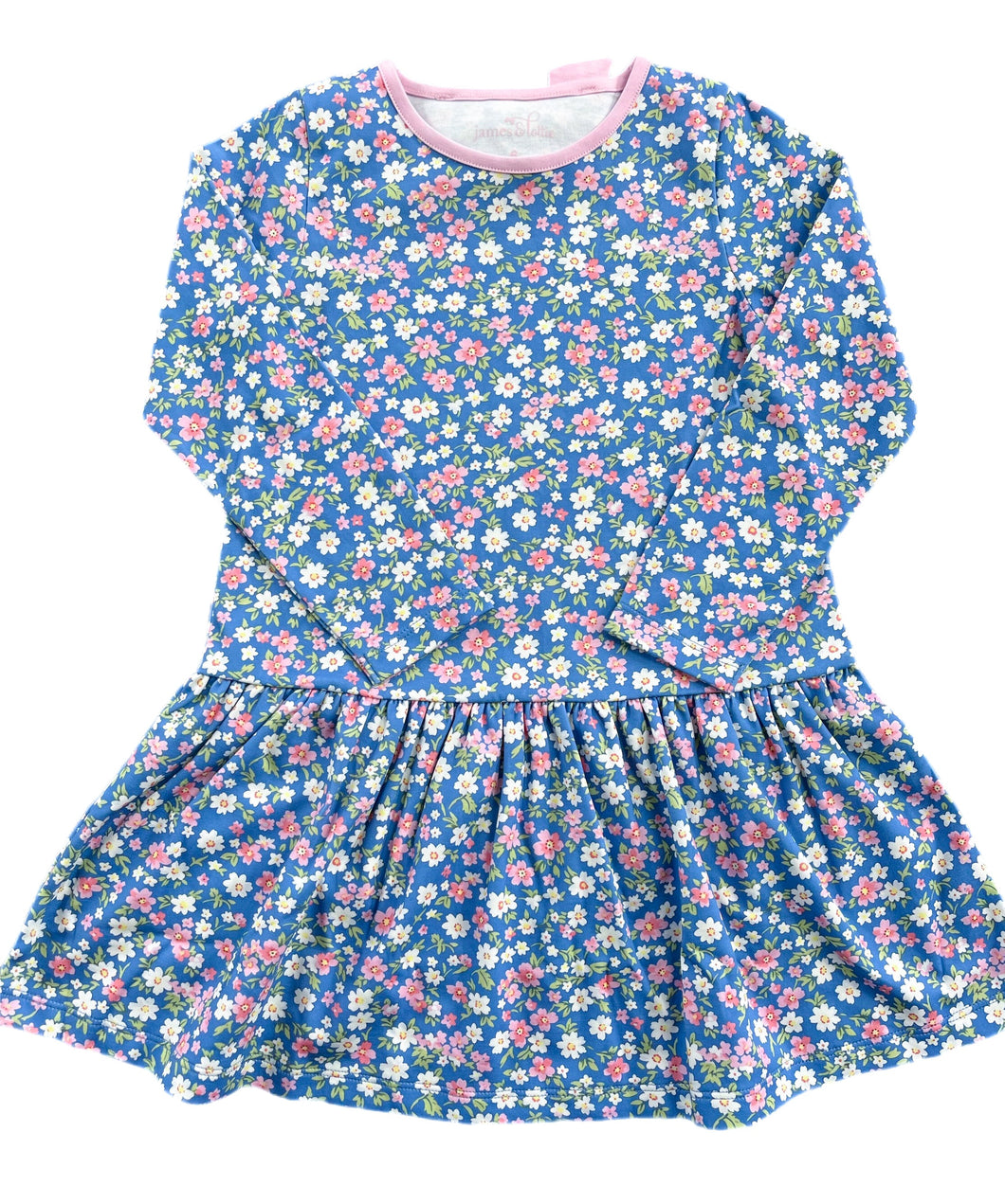 Loren Dress, Fall Floral Knit