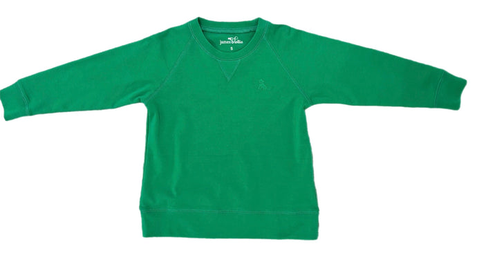 Boys Basics Sam Sweatshirt, Kelly Green