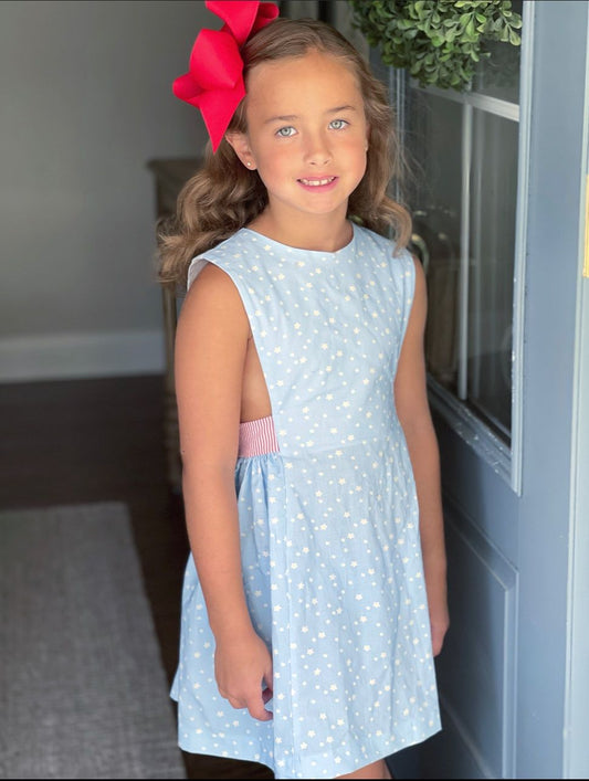 Collins Dress, Stars and Stripes